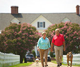 Individual Retirement Accounts (IRAs)